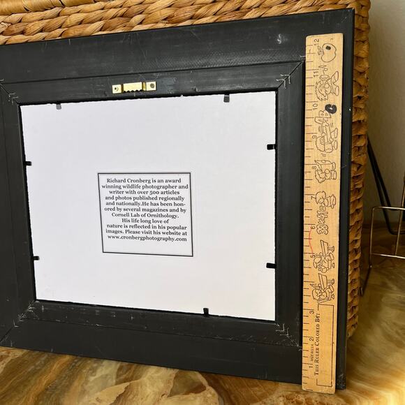 Bird Wildlife Photographed Signed and Framed - Picture 8 of 8